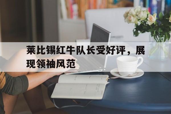 IM电竞网页版-莱比锡红牛队长受好评，展现领袖风范