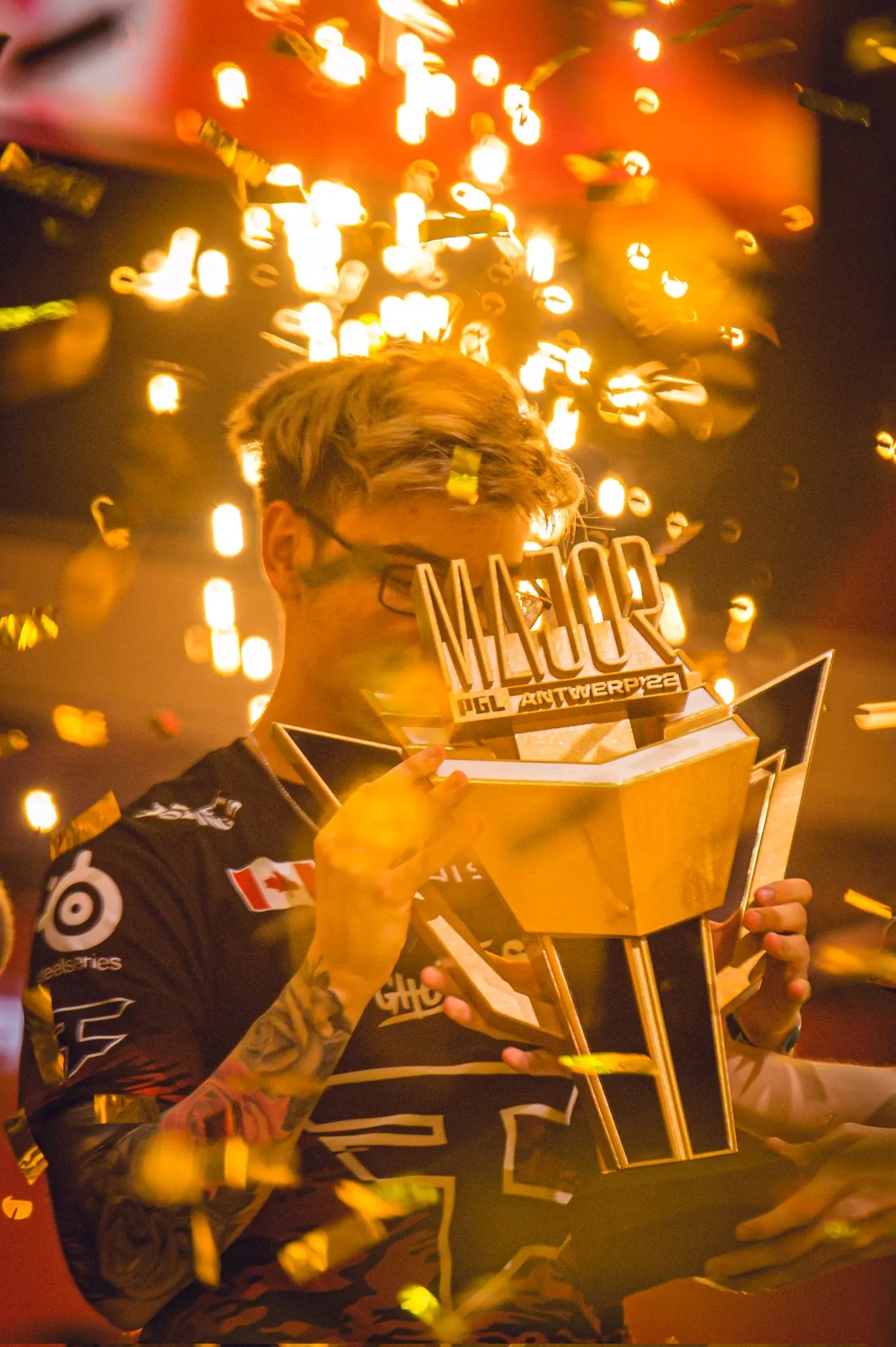TeamLiquid创下新高，粉丝疯狂欢呼的简单介绍